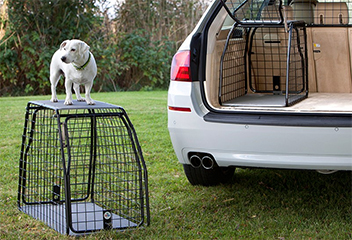 Produkter til hunde