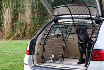 Hundegitter