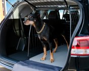 Hundebur Mercedes GLS fra 2012-2019