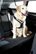 Hundesele MIM Allsafe - Crash-testet hundesele
