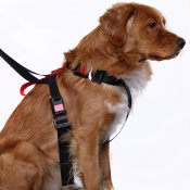 Artfex Hundesele - Hundesele tilpasset ISOFIX