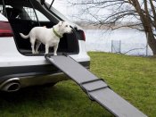 Hunderampe til bil - For en lettere indgang for hunden