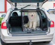 Hundebur Volvo V70 fra 2008-2016