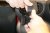 Mobilholder Toyota Yaris Cross fra modelår 2021-