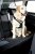 Hundesele MIM Allsafe - Crash-testet hundesele