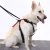 Artfex Hundesele - Hundesele tilpasset ISOFIX