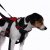 Artfex Hundesele - Hundesele tilpasset ISOFIX