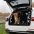 Hundegitter C-Crosser (Citroen) 2007-2012