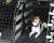 Hundegitter til Mercedes GLE fra 2019-