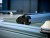 Tagbøjler 120 cm til Mercedes T-Klass fra 2022- | Aerodynamiske aluminiumsbøjler