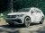 Gelænder Volkswagen Tiguan 2021-2023