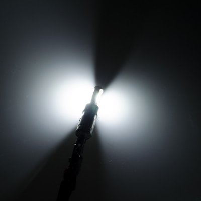 Diodelampe 12V 2xCOB 900 lm
