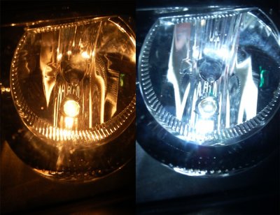 Diodelampe 12V 2xSMD Canbus xenon hvid BAX9s