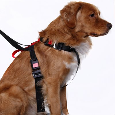 Artfex Hundesele - Hundesele tilpasset ISOFIX