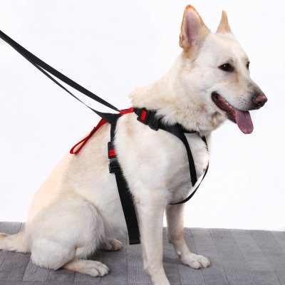 Artfex Hundesele - Hundesele tilpasset ISOFIX