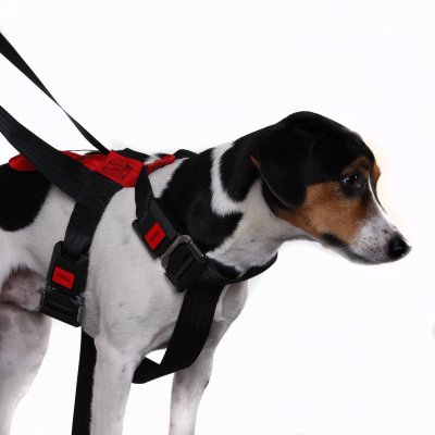 Artfex Hundesele - Hundesele tilpasset ISOFIX