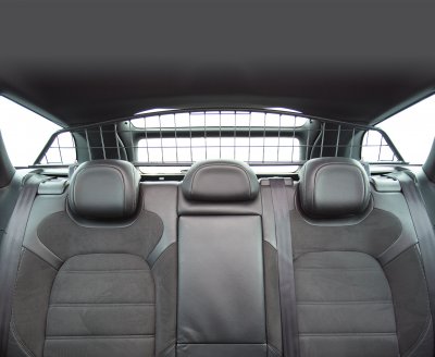 Hundegitter Citroën DS5 2012-