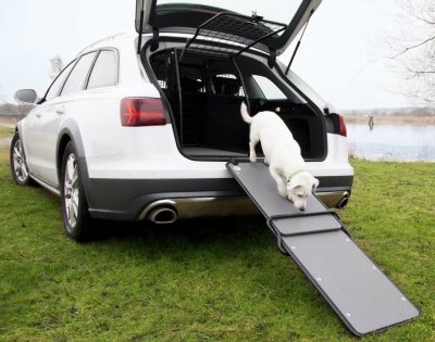 Hunderampe til bil - For en lettere indgang for hunden