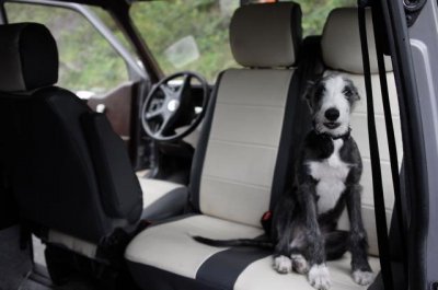 Drejeplade til Nissan Primastar fra 2002-2014
