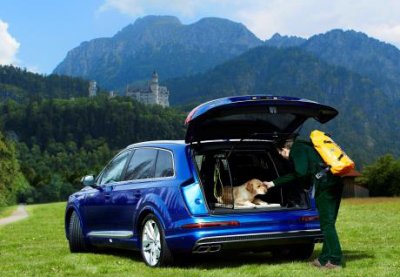 Hundebur Audi Q7 fra 2015-