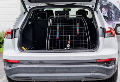 Hundebur Audi Q4 e-tron fra 2021-