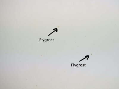 Pureest W1 Flygrostmodel - 500 ml