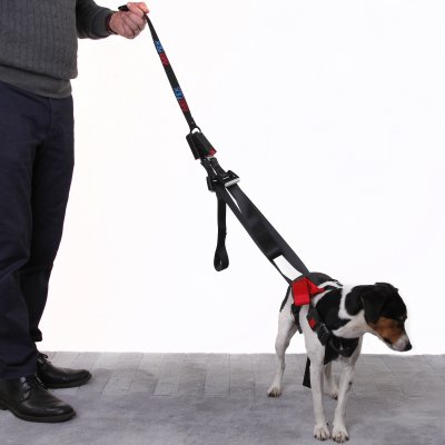 Artfex Hundesele - Hundesele tilpasset ISOFIX
